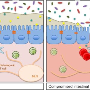 Leaky Gut Syndrome